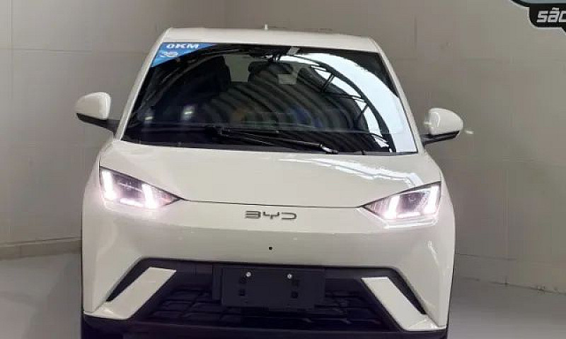 Byd Dolphin Mini (El...