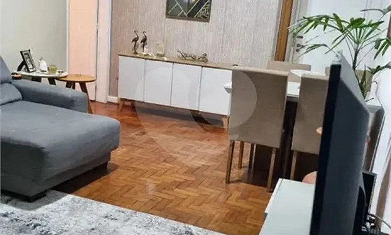 Apartamento Com 3 Qu...