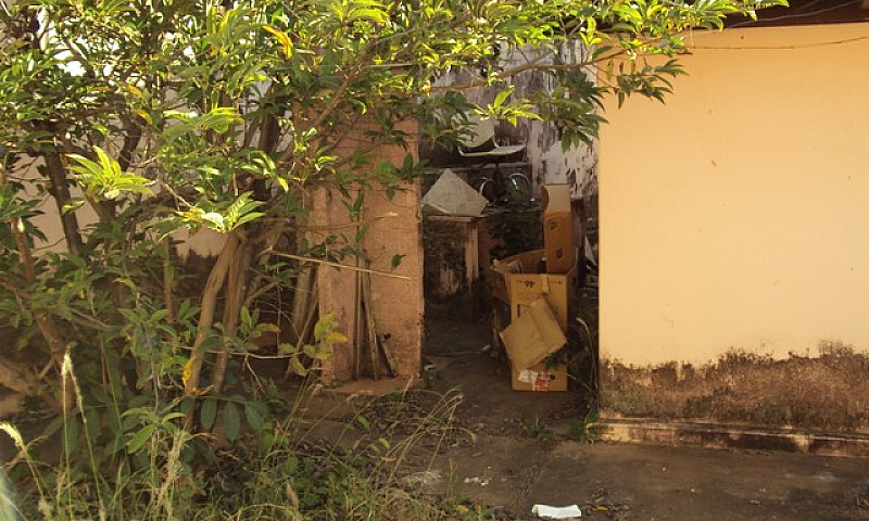 Casa Para Aluguel Te...