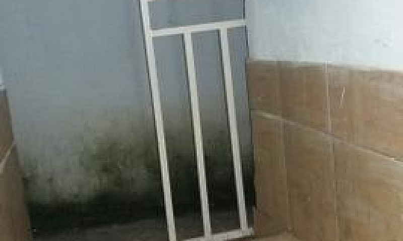Alugo Kit Net Prox A...