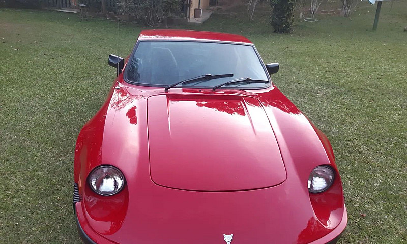 Puma Gte  1980 Placa...