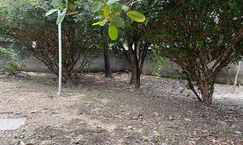 Vendo Casa 4Qtos (2 ...