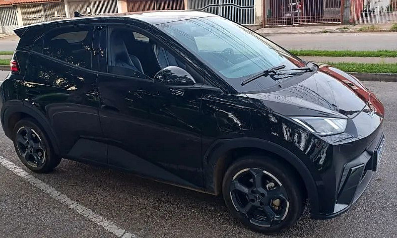 Byd Dolphin Mini (El...