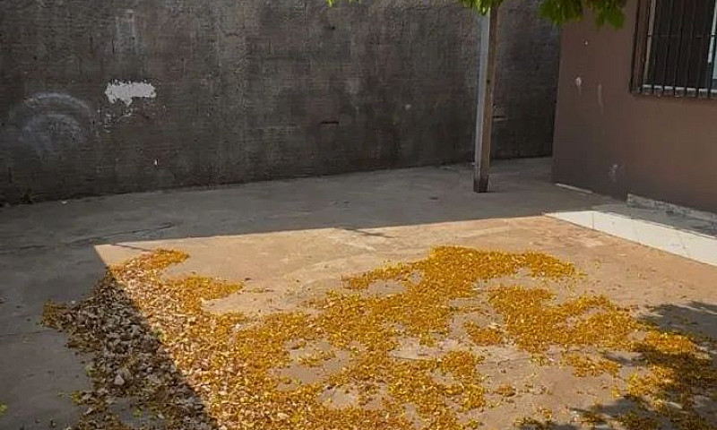 Aluga-Se Casa No Bai...