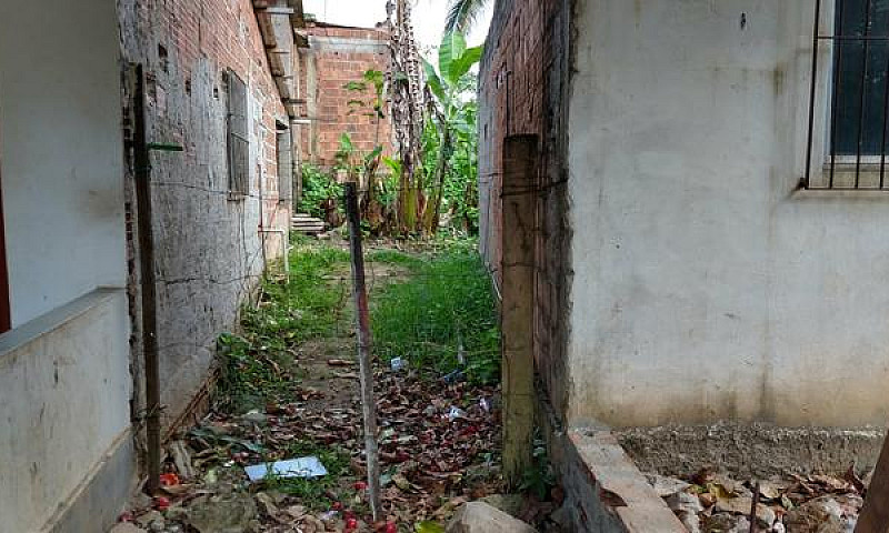 Casa Com Terreno Em ...