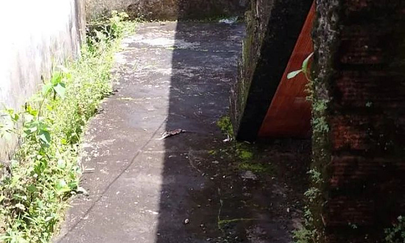 Venha Obter Sua Prim...