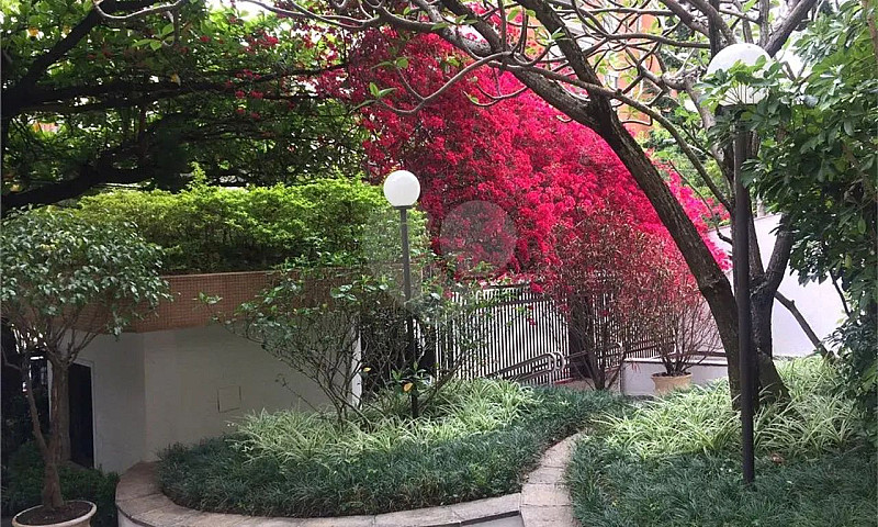 Apartamento Com 4 Qu...