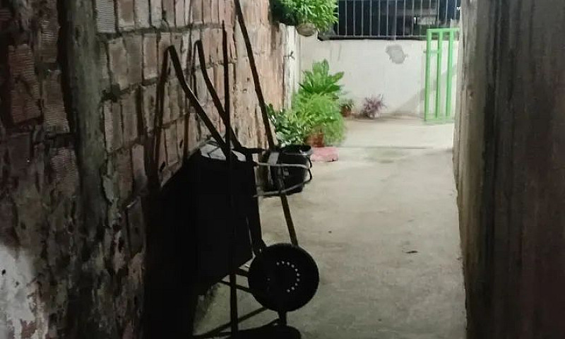 Vendo ...