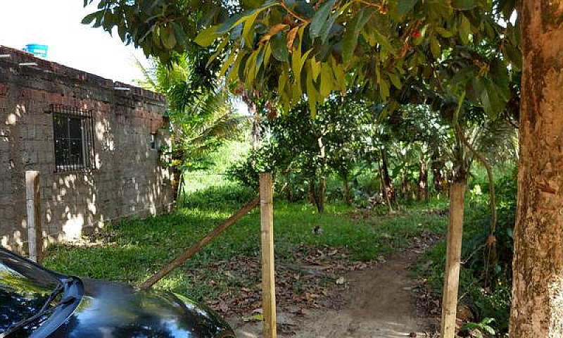 Casa Com Terreno Em ...