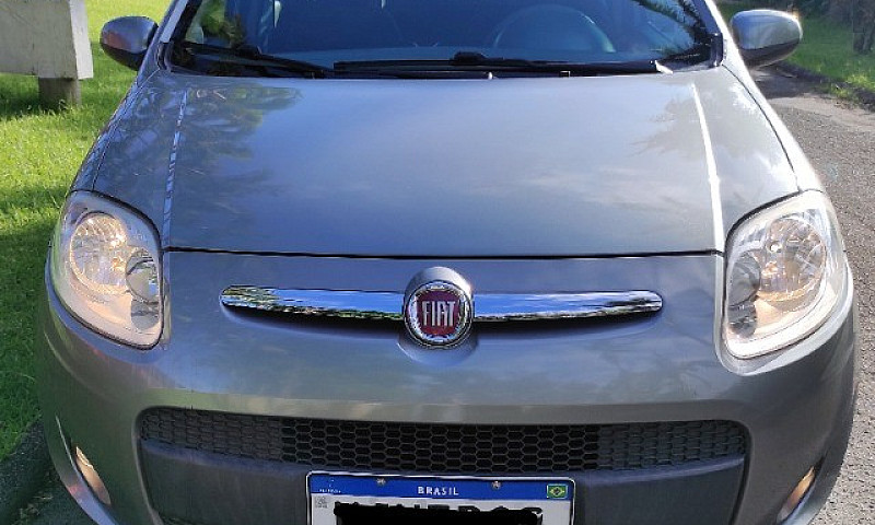 Palio Attractive Imp...