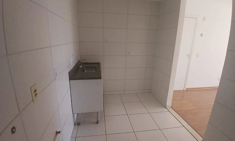 Locação Próximo À Uf...