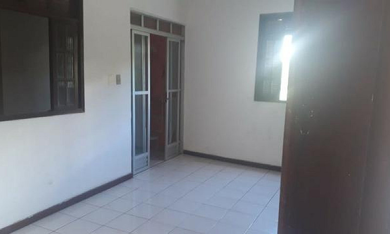 Apartamento Em Brota...