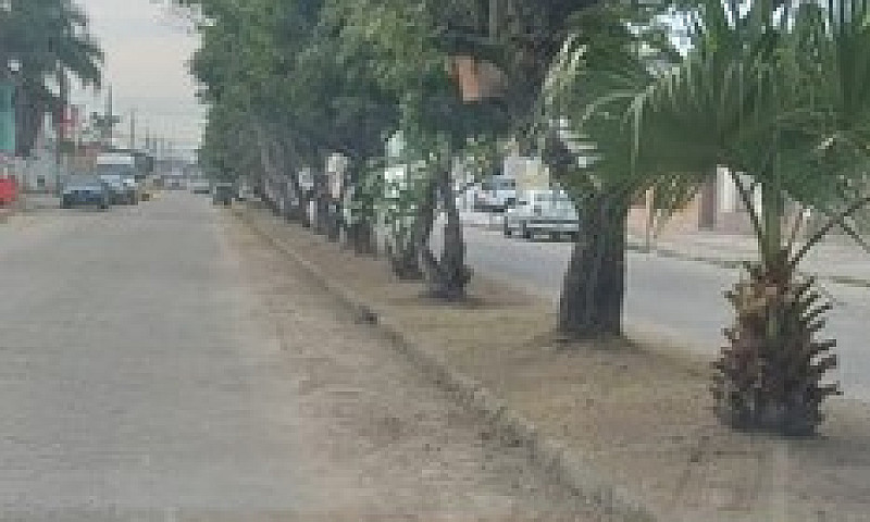 Venda De Uma Casa E ...