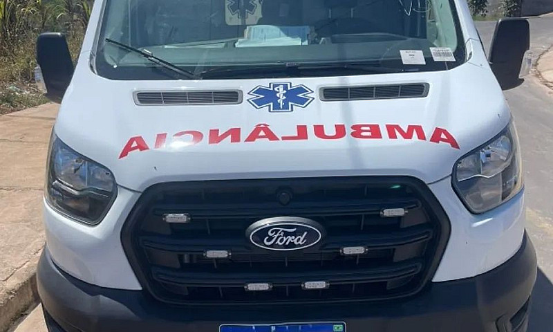 Ford Transit Furgão ...