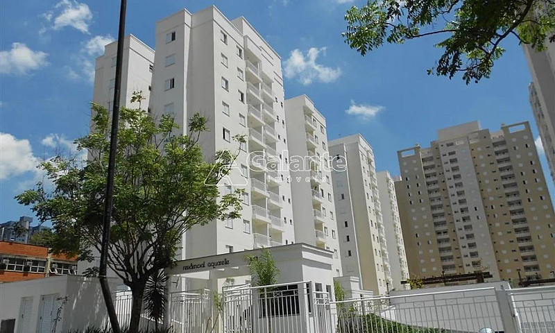 Apartamento - Chácar...
