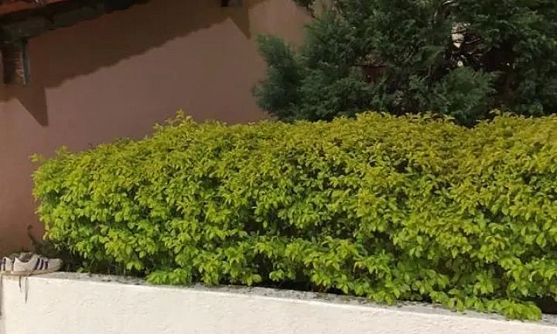 Casa 1.200 Em Sbc Ja...