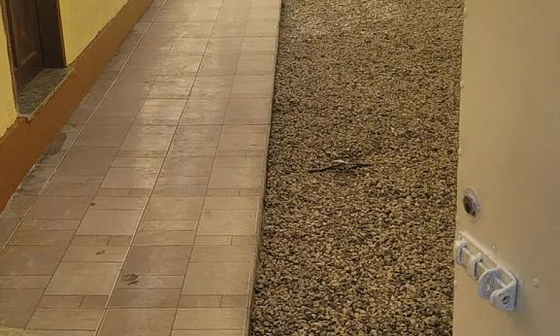 Alugo Aconchegante C...