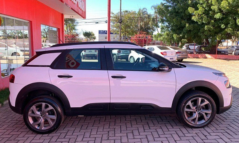 C4 Cactus Feel At 1....