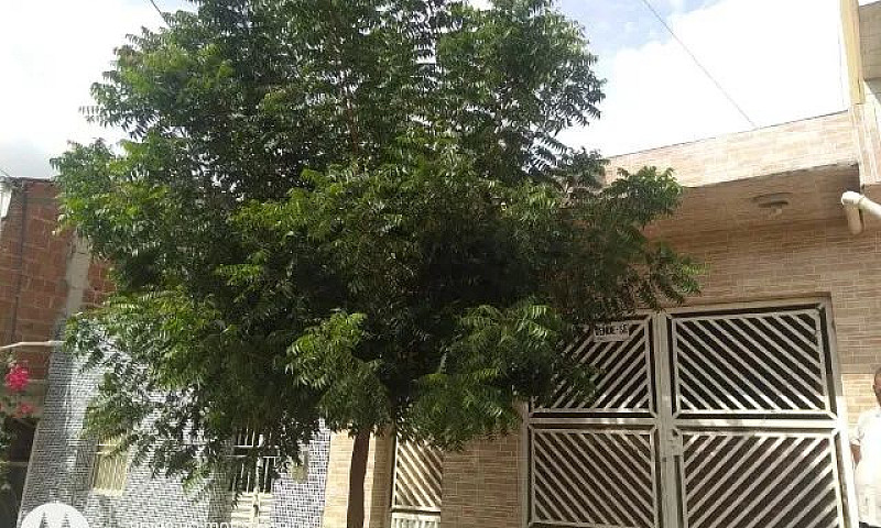 Casa 5X20 Toritama -...