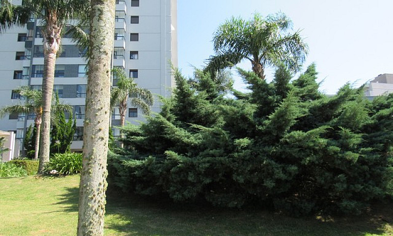 Caxias Do Sul - Apar...