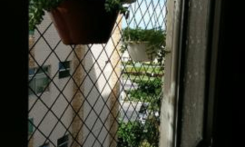 Gracioso Quarto E Sa...