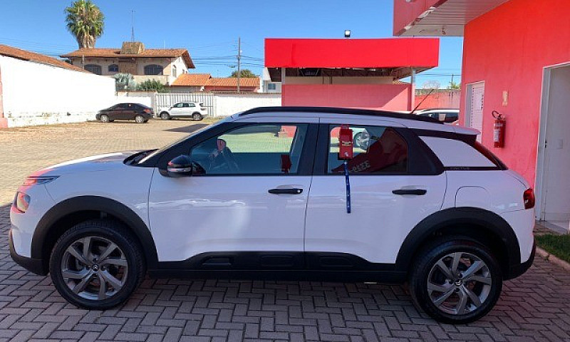 C4 Cactus Feel At 1....