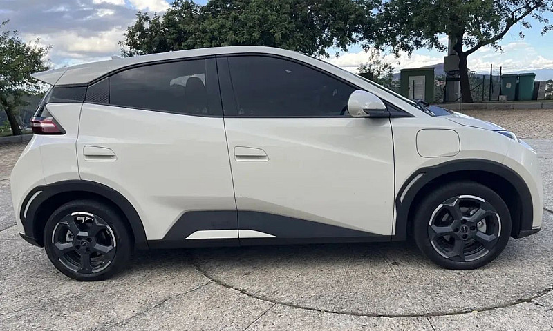 Byd Dolphin Mini (El...