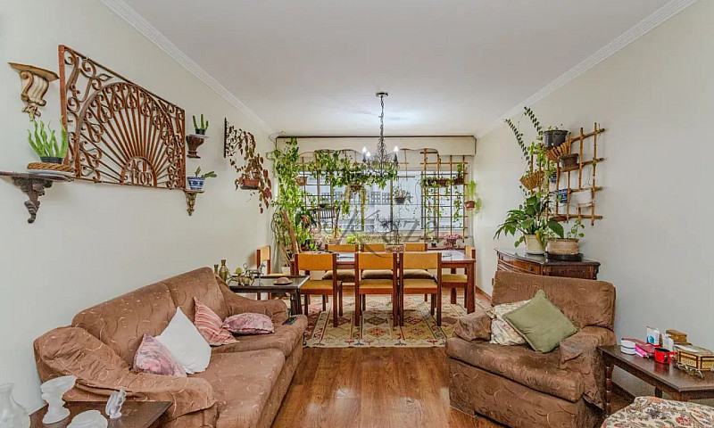 Apartamento - Jardim...