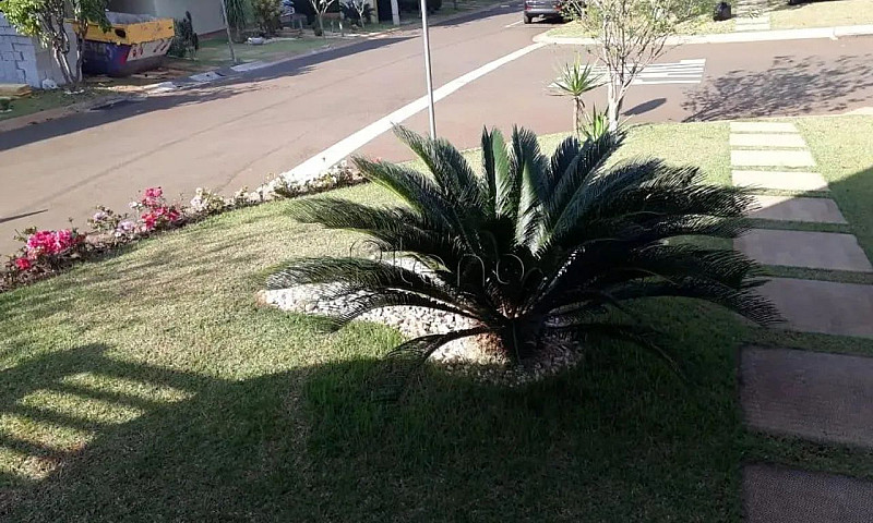 Sobrado À Venda Em P...