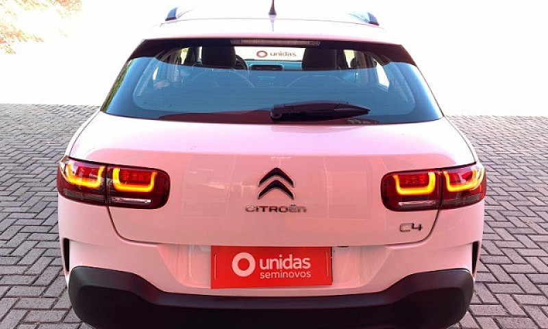 C4 Cactus Feel At 1....