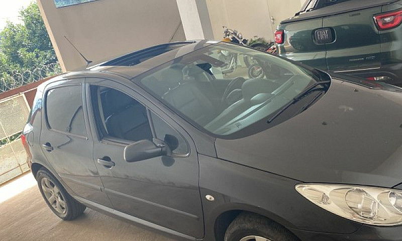 Peugeot 307 Feline...