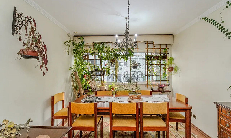 Apartamento - Jardim...