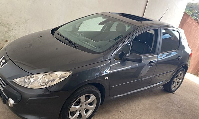 Peugeot 307 Feline...