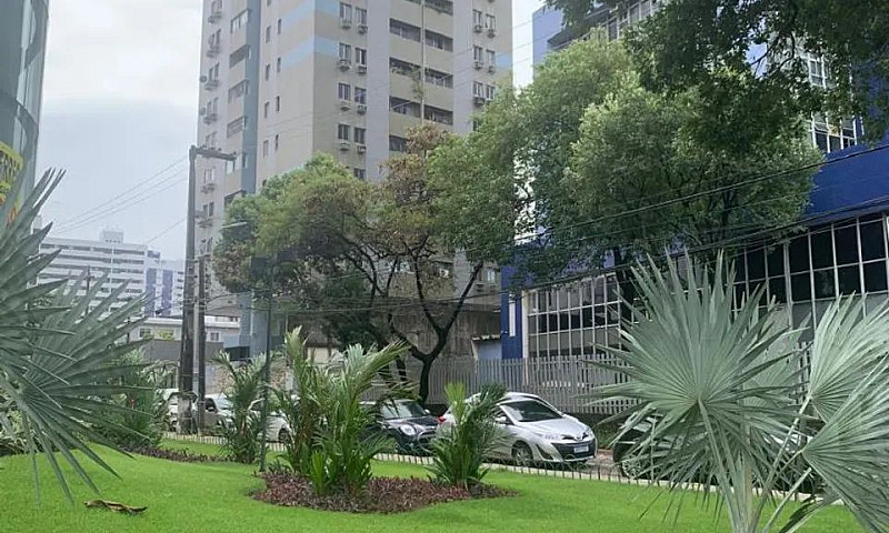 Apartamento Amplo E ...