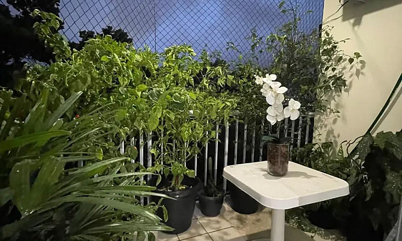 Las Brisas - Bequimã...
