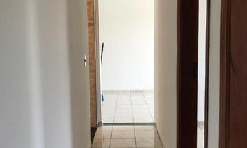 Apartamento No Jardi...