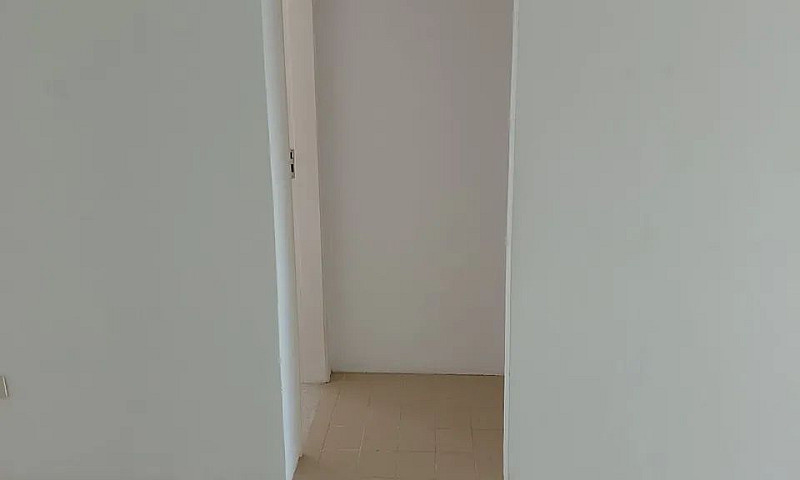 Edif. Monica Pau Ama...