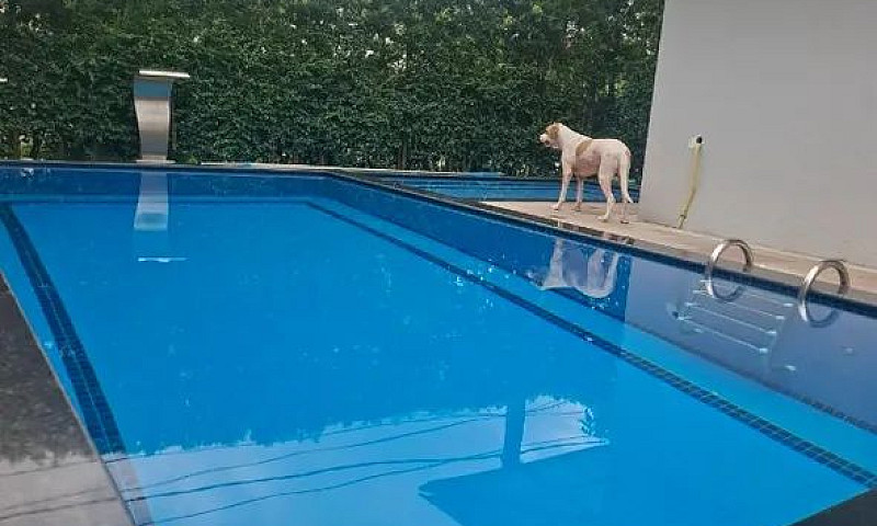 Casa Com Piscina - 4...