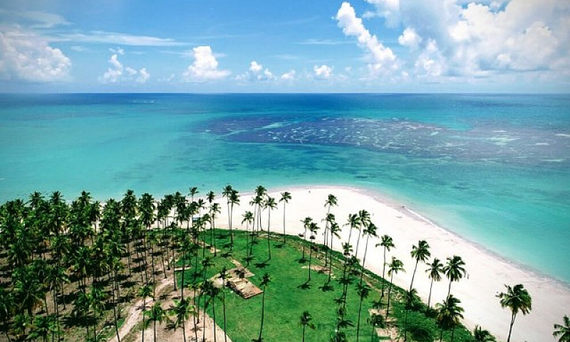 Wra- Lançamento Extr...