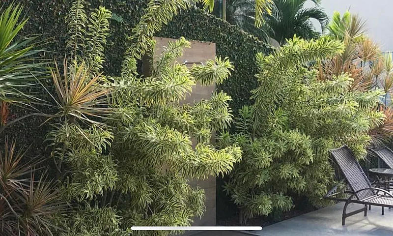 Kitnet, Apartamento ...