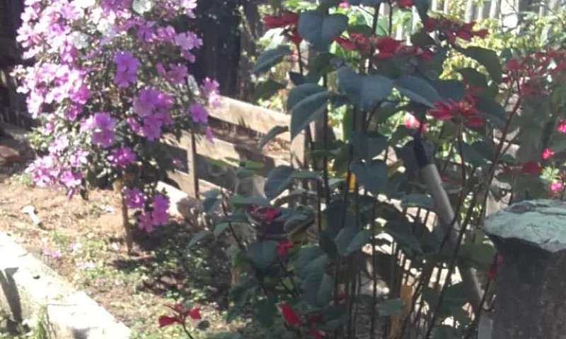 Oportunidade 2 Casas...