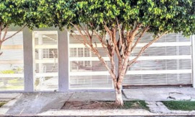 Casa Para Alugar Reg...