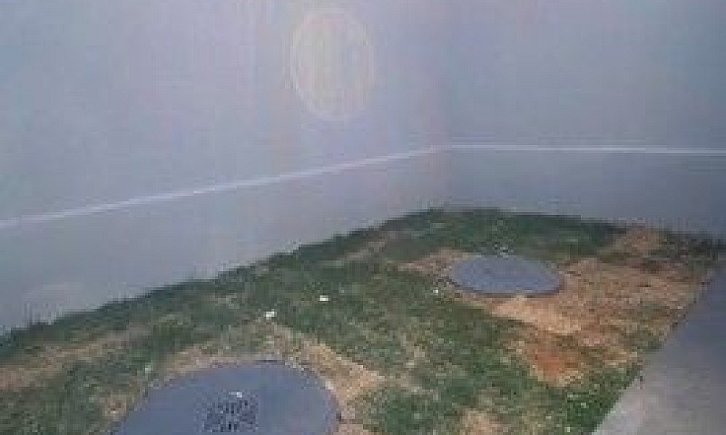 Casa Com 2 Dormitóri...