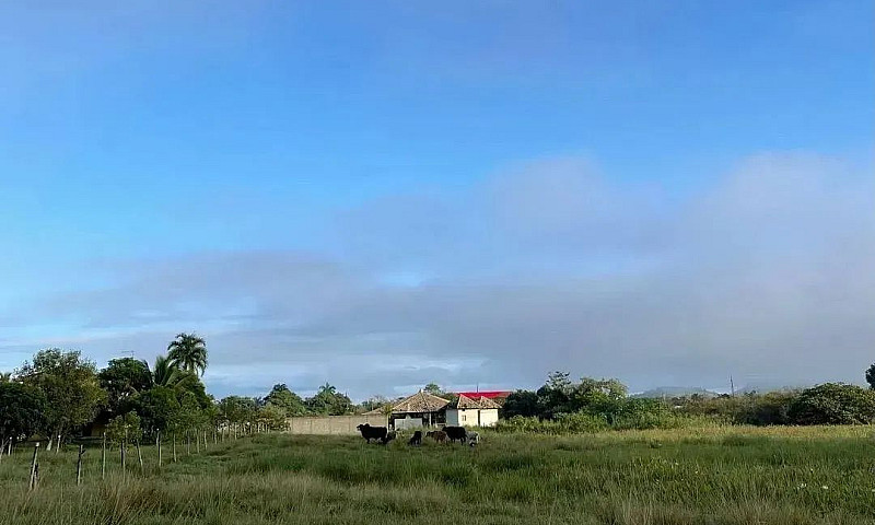 Casa Para Venda Com ...