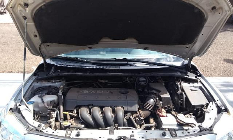 Toyota Corolla...