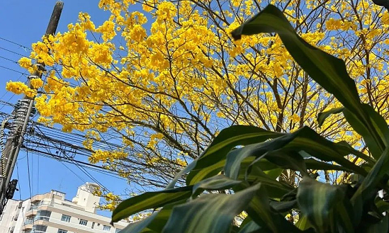 Excelente Casa No Es...