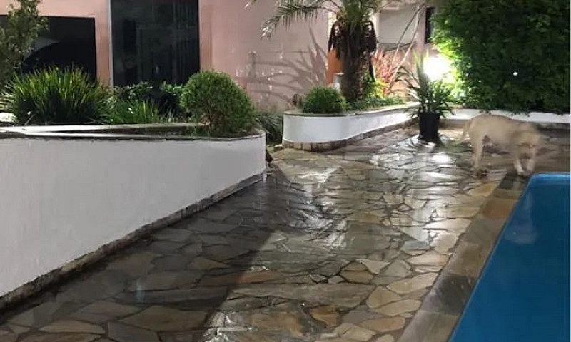 Casa 1.200 Em Sbc Ja...