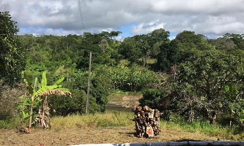 Sítio A Venda Bem Pr...