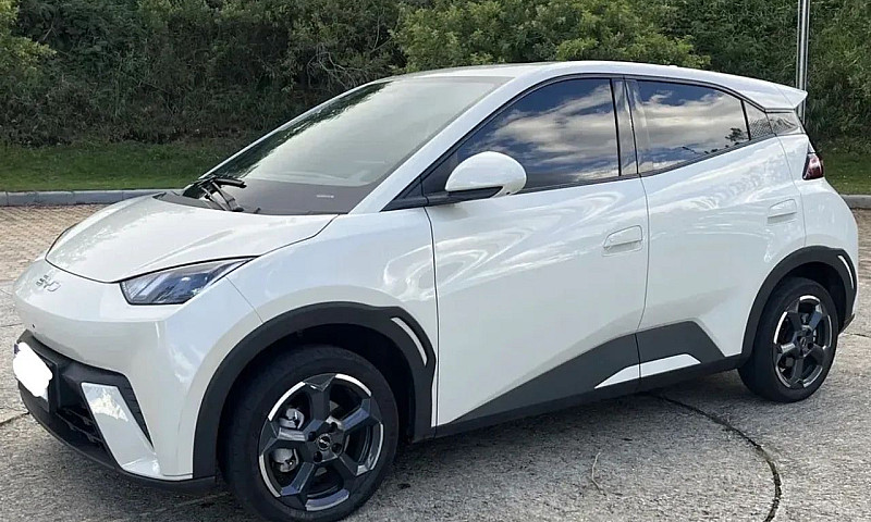 Byd Dolphin Mini (El...