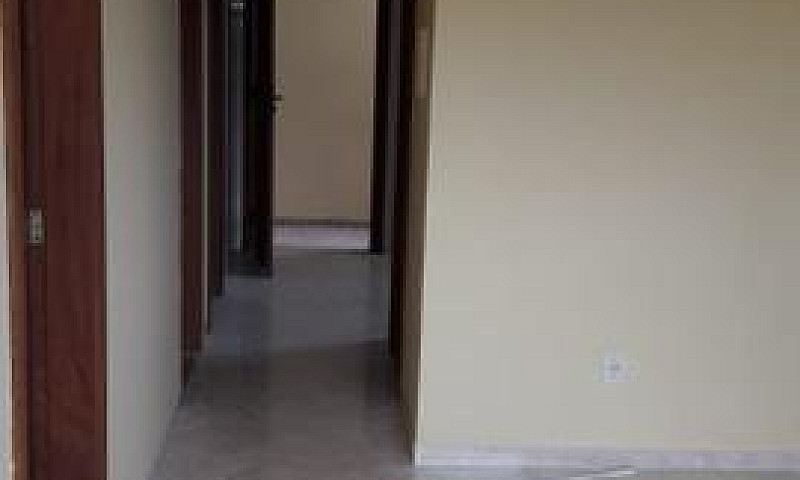 Aluguel Casa Novo Po...